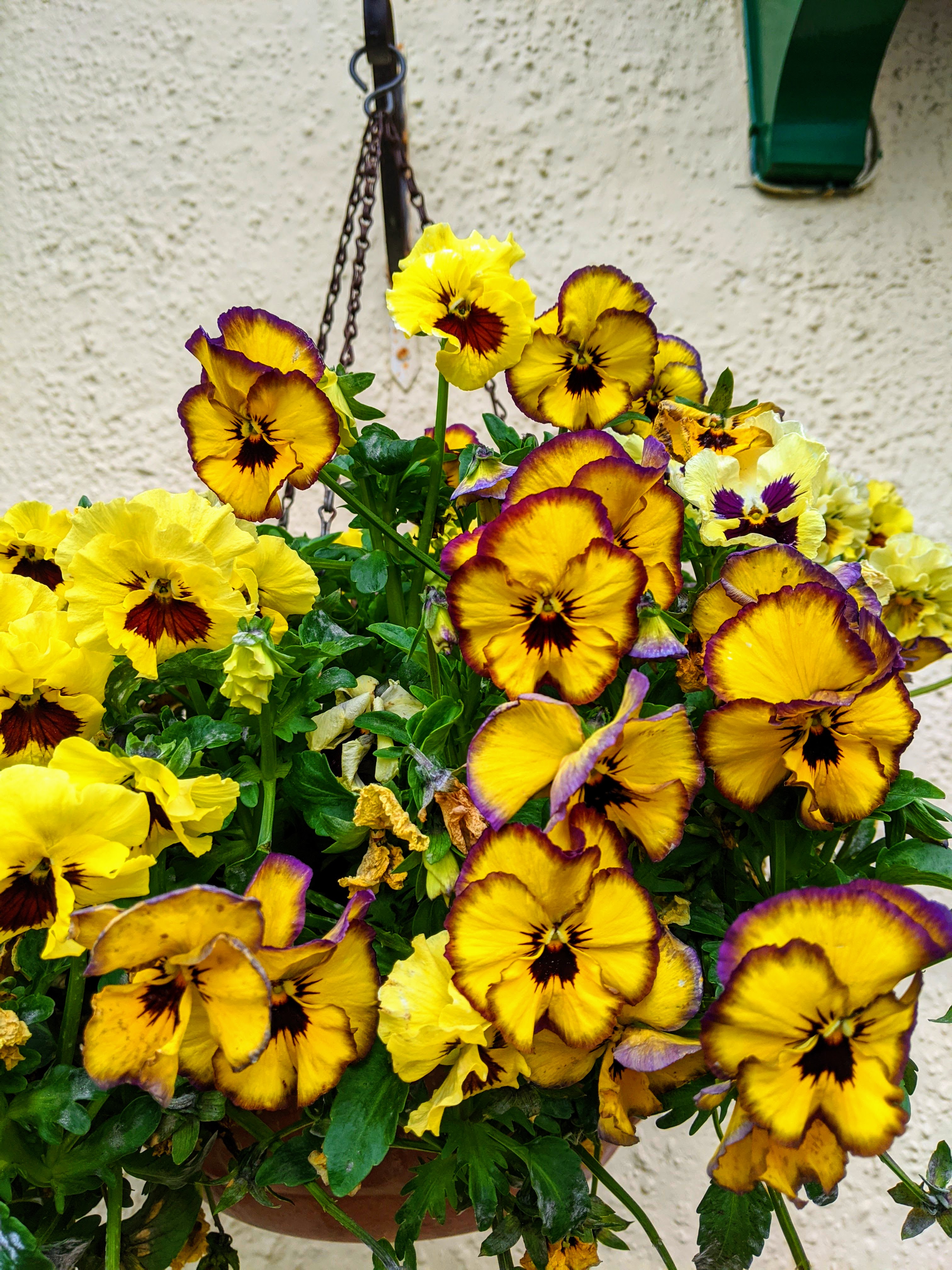 Signs of Spring – Awful Rigours and Wretched Pay