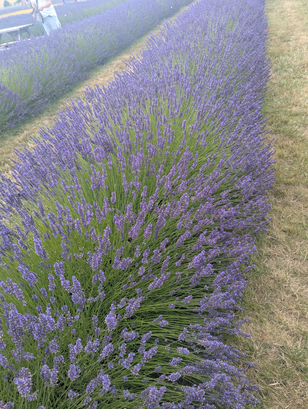 2025 in review – part&nbsp;3