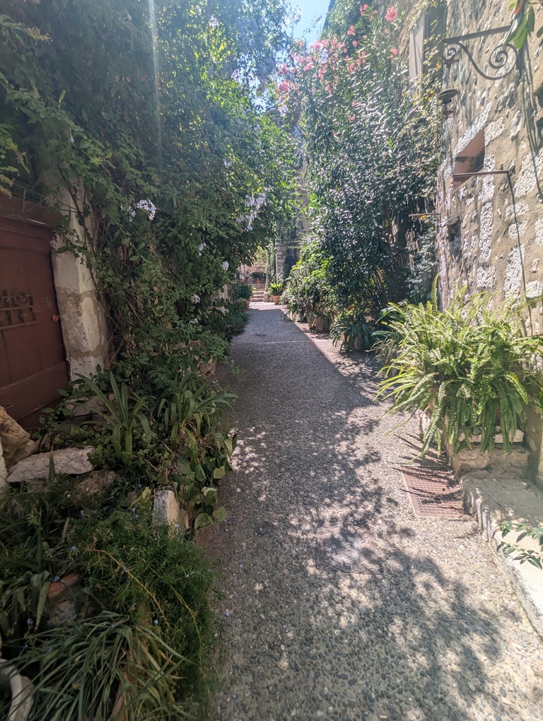 A narrow path surrounded by rich green leaves and small painted doors